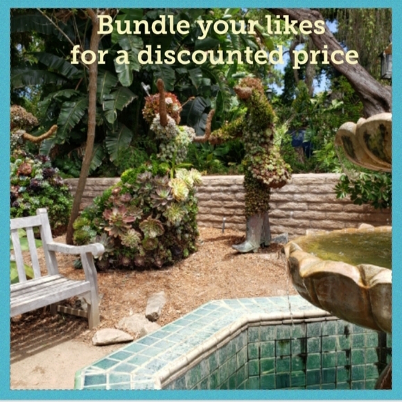 ❤️ - Picture 4 of 5